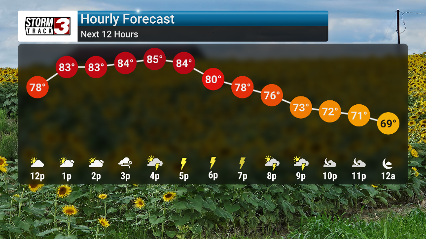Forecast Thumbnail