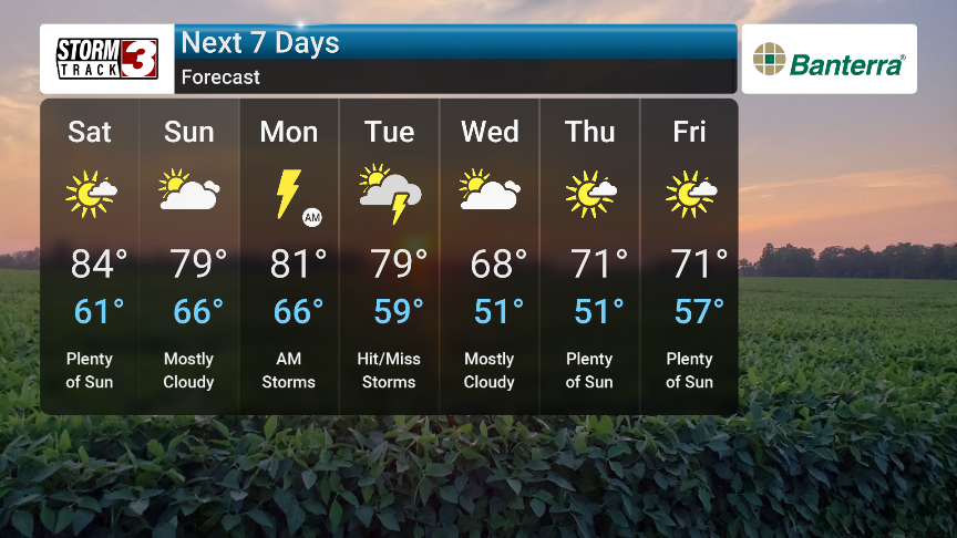 Forecast Thumbnail