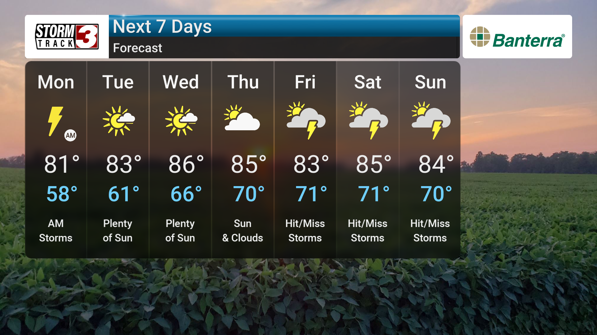 Forecast Thumbnail