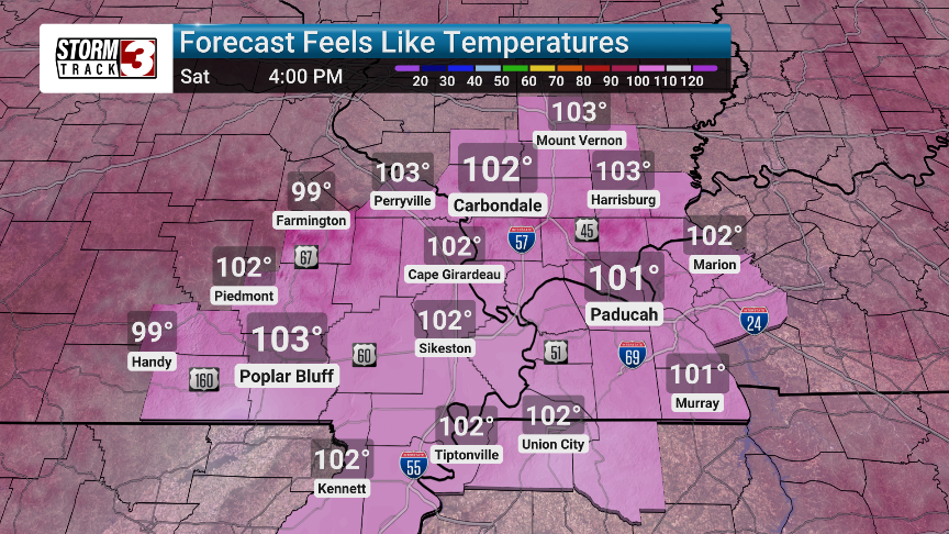 Forecast Thumbnail